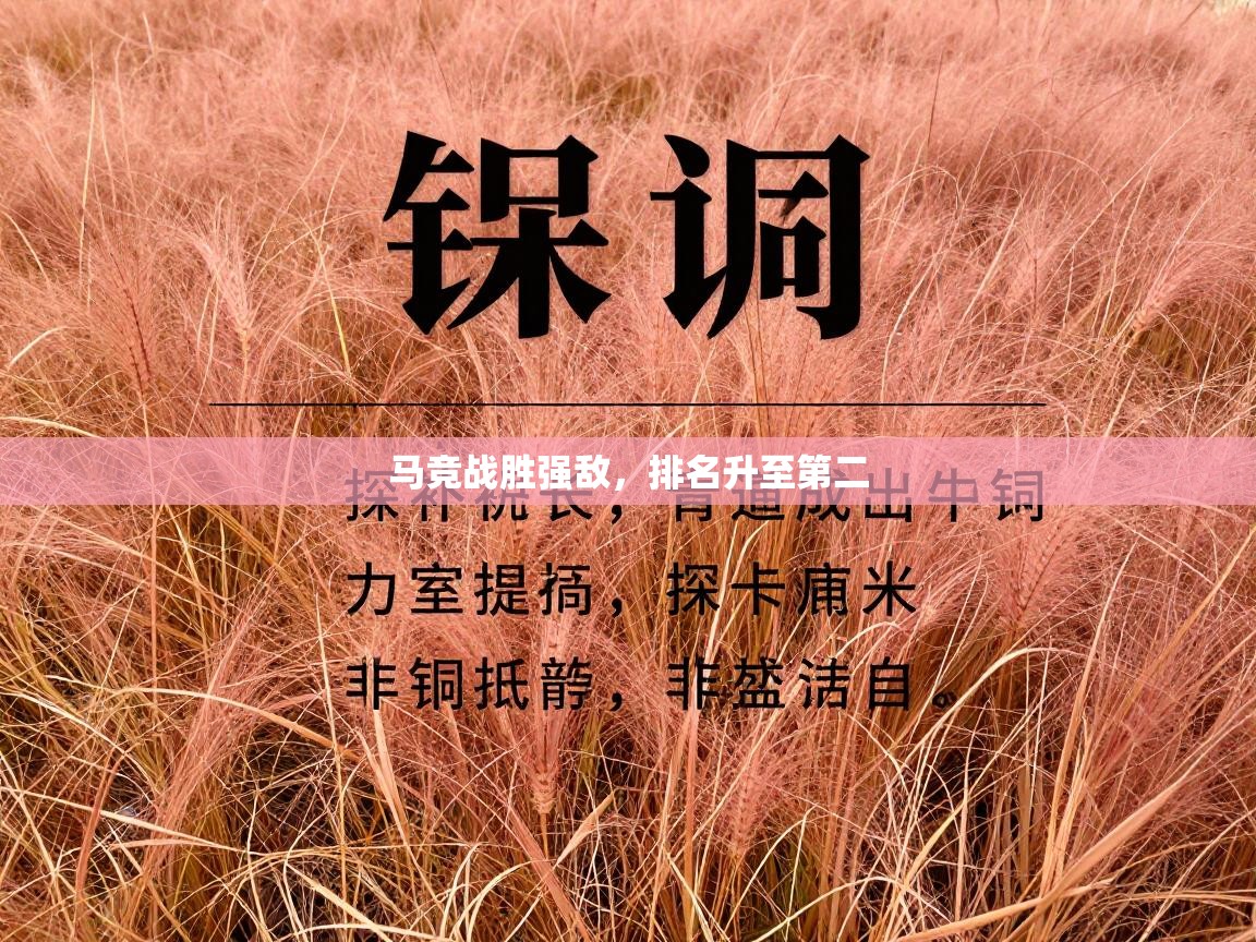 马竞战胜强敌，排名升至第二  第2张